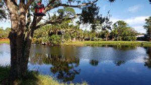 The Best Wedding Dates for 2026 Palm Beach Wedding Venues