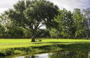 Palm Beach Wedding Venues for 200 Guests