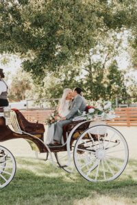 Visit Palm City: 30 Historic Facts About Palm City, Florida