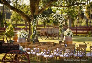 Palm Beach Wedding Venues for 200 Guests