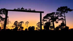 Traditional Anniversary Gifts by Year: Meaning, Symbolism, and Ideas for All 25 Milestones