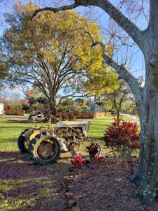 Visit Palm City: 30 Historic Facts About Palm City, Florida