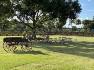 How to Plan a Palm Beach Wedding Weekend