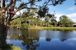 Wedding Venues for 200 Guests in Palm Beach