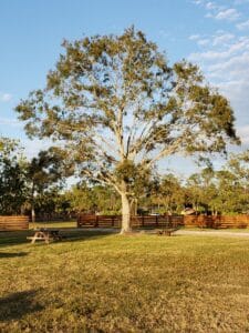 Use this guide to explore Palm Beach engagement party essential planning tips. 