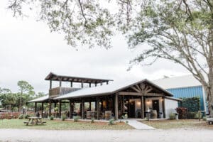 What is the Purpose of an Engagement Party in Palm Beach?