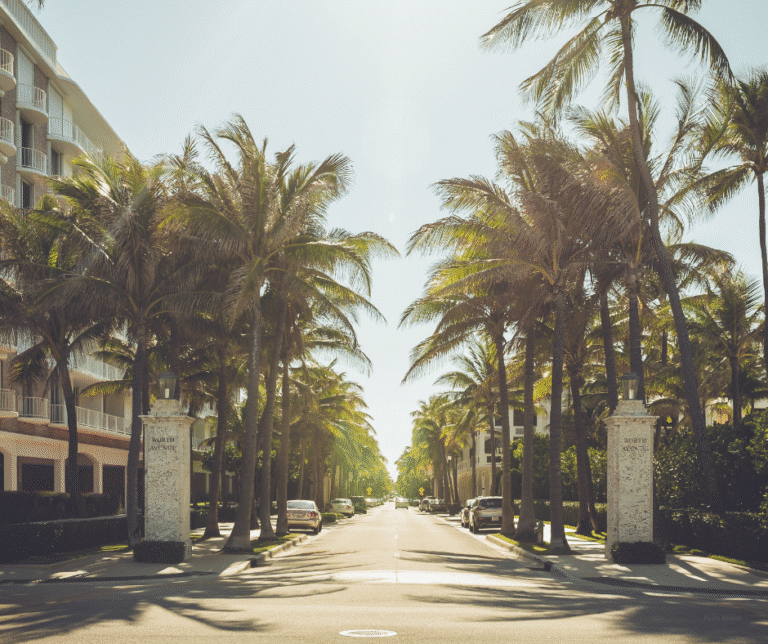 Visit Palm Beach Weddings