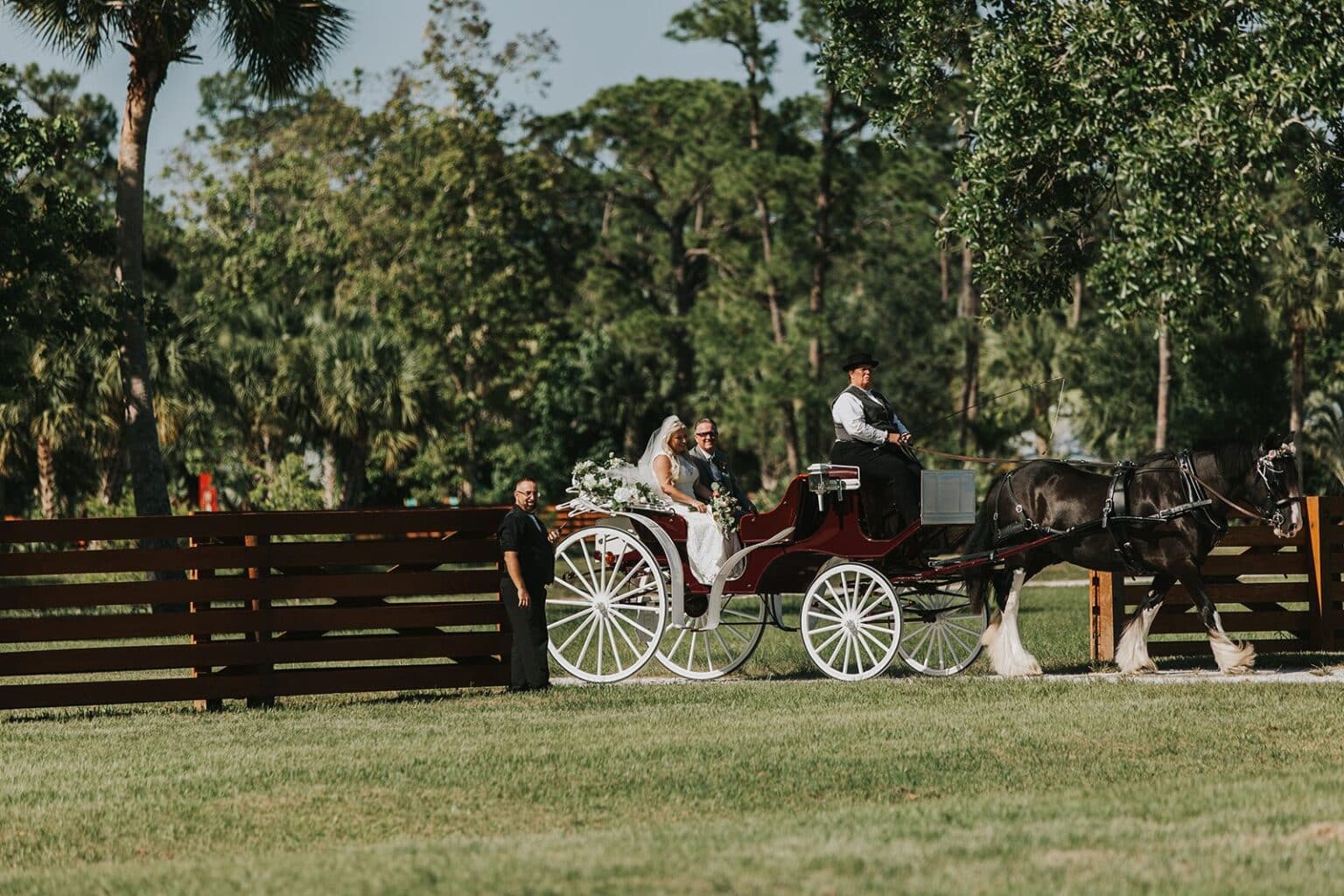 Garden Party Wedding Dress Code Explained: A Modern 2026 Style Guide