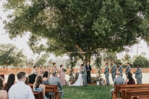 What to Put on Your Free Wedding Website